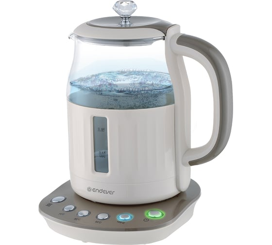 Электрический чайник Endever Skyline KR-365G 90258