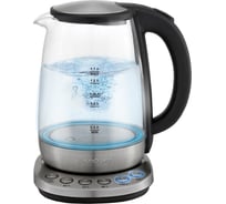 Электрический чайник Endever Skyline KR-370G, сталь/стекло 90251
