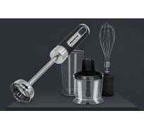 Блендерный набор Remenis REM-5797