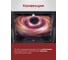 Газовый духовой шкаф MBS DG-602 5097 6