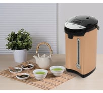 Чайник-термос BRAVO TL-50S золотой УТ000014182