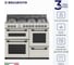 Комбинированная отдельно стоящая плита Delvento 100x60 см V10XR53001 4