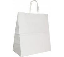 Пакет ПЗБМ с кручеными ручками, 250x220x120, 100 г/м2, крафт, белый, 250 штук 110876