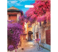 Пакет ООО Комус с вырубной ручкой, итальянский дворик, 45x38 см, 50 шт. 1047922