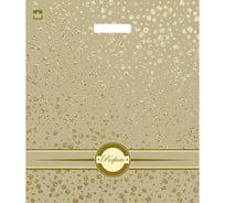 Пакет с вырубной ручкой ООО Комус Голди 42x48 см, 25 шт. 1477223