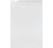 Пакет ООО Комус бопп, 300x450+40 мм, клапан со скотчем, 30 мкм, 100 шт. 1475908