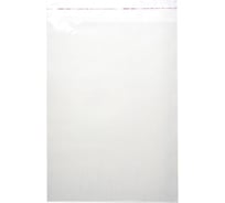 Пакет ООО Комус бопп, 250x350+40 мм, клапан со скотчем, 30 мкм, с перфорацией, 100 шт. 1440516