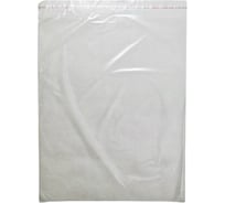 Фасовочный пакет ООО Комус пп, 40x50+5 см, с клеевым клапаном, 20 мкм, 100 шт. 1304239