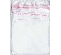 Фасовочный пакет ООО Комус пп, 20x20+5 см, с клеевым клапаном, 20 мкм, 100 шт. 1258239