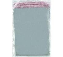 Фасовочный пакет ООО Комус пп, 35x45+5 см, с клеевым клапаном, 20 мкм, 100 шт. 1304238