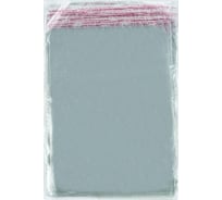 Фасовочный пакет ООО Комус пп, 30x40+5 см, с клеевым клапаном, 20 мкм, 100 шт. 1258241