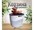 Корзина для хранения Homium с ручками, белый storagePVH04white 2