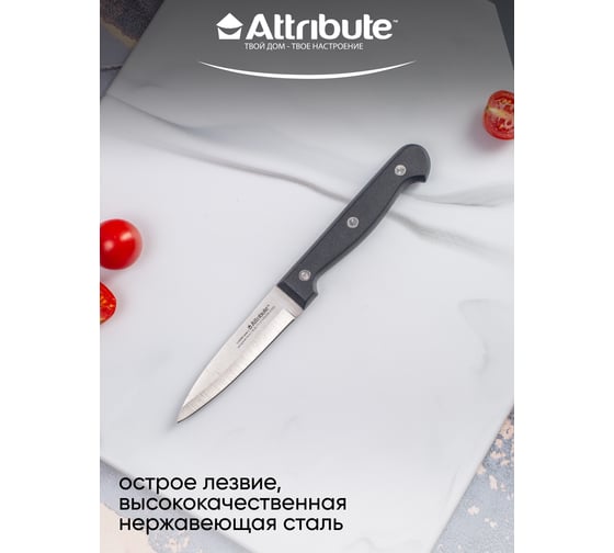 Нож для фруктов Attribute CLASSIC 9 см AKC104