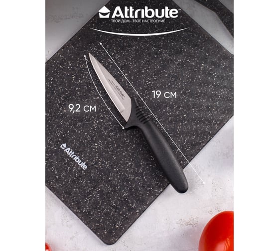Нож для фруктов Attribute CHEF 9 см AKC002