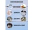 Корзина для белья MAGIC складная серая 38л HOBBY LIFE HL081064GR 5
