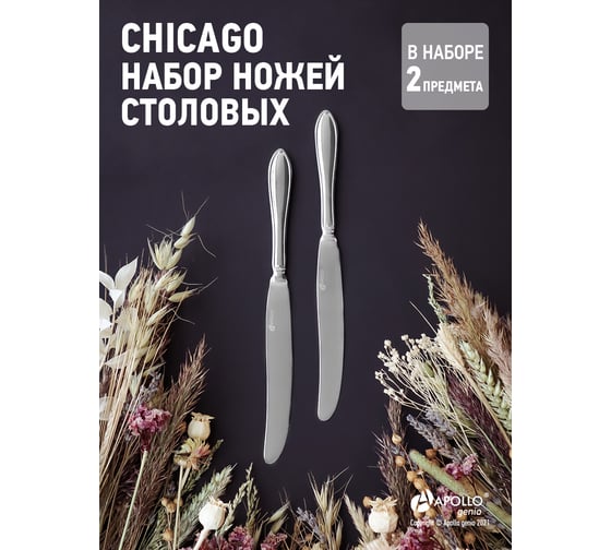 Набор ножей столовых APOLLO genio "Chicago" 2 пр. CHI-32