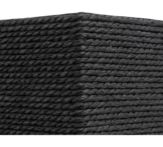 Корзина для хранения Bergenson Bjorn Lian, 30x20x12 см, черная BB0000636