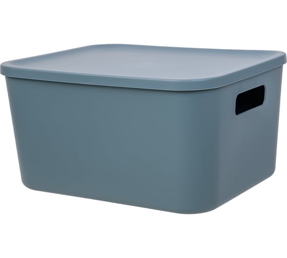 Корзина пластиковая для хранения Handy Home Оптима, Д285 Ш220 В145, синий Fancy-hh100-S