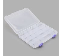 Контейнер - органайзер для хранения мелочей, рукоделия Hobby&pro с секциями, 22,8х16,1х3,6 см 7736263