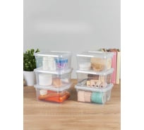 Комплект ящиков Econova 2 л, 6 шт., бесцветный 43522910122