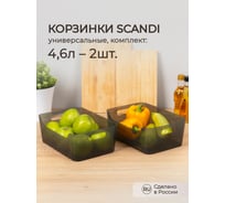 Комплект корзинок универсальных Phibo "SCANDI", 270x190x105 мм, 4,6 л, 2 шт., черный 43523831322