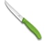 Нож для стейков и пиццы Victorinox Gourmet 12 см, волнистое, зеленый, 6.7936.12L4 1