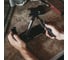 Ручная точилка WorkSharp ANGLE SET SHARPENER WSBCHAGS-I 11