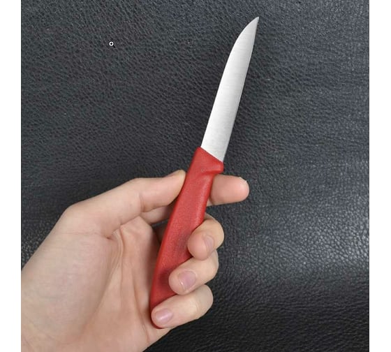 Кухонный набор Victorinox 3 предмета, цветной 6.7116.32