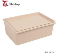 Контейнер с крышкой baizheng MBL-0216