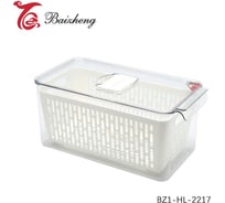 Коробка для хранения baizheng BZ1-HL-2217