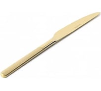 Нож столовый DOMENIK MILANO DMC043