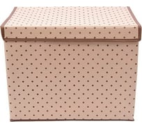 Коробка для хранения вещей HOMSU с крышкой 38х25х30 см HOM-794