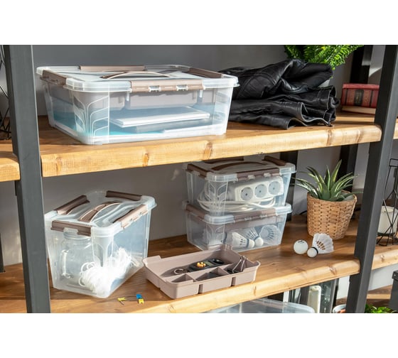 Универсальный ящик Econova Grand Box с замками и вставкой-органайзером, 10 л 433224314