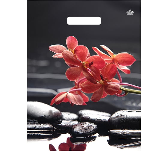 Пакет с вырубной ручкой ПВД ламинированный ОФИСМАГ, 50 шт., 40х31см, Гармония, 60мкм, ШК9825 701477 1