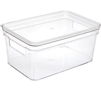 Органайзер для хранения с крышкой Селфи ФЛАТТО, прозрачный, 25.2*16.8*11.8см (лейбл) 965-409