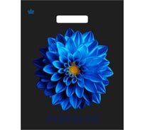 Пакет с вырубной ручкой ОФИСМАГ, 37х30см, Перфекто Далия, КОМПЛЕКТ 25 шт, 90 мкм ШК0126 701467