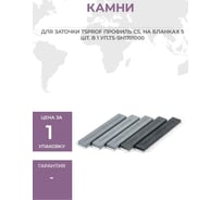 Камни для заточки TSPROF Профиль CS, на бланках 5 шт TS-SH1701000