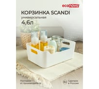 Универсальная корзинка Econova SCANDI 27x19x10,5 см, 4,6 л белый 434200816 43420081622