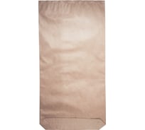 Мешок PACK INNOVATION Крафт трехслойный, с полиэтиленовым вкладышем, 100x51.5x9 см, 10 шт IP0KMPV00501009-10