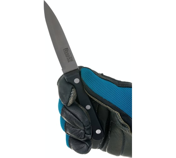 Нож для овощей и фруктов Regent inox Linea FORTE 80/180 мм 93-BL-6