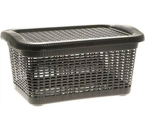 Корзина GENSINI Rattan 40 л, 59x40x29 см, с крышкой пластик, цвет ассорти 2169