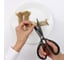 Ножницы HuoHou Plating Titanium scissors с титановым покрытием HU0025 4