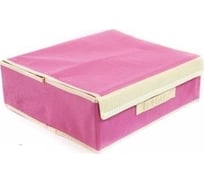 Ящик для белья Удачная покупка комплект RYP98-B