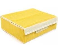 Ящик для белья Удачная покупка комплект RYP98-A