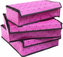 Ящик для белья Удачная покупка комплект RYP99-10