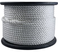 Полиамидный крученый ТОРГОВО-ПРОИЗВОДСТВЕННАЯ КОМПАНИЯ МДС Канат 10 мм, 100 м 7930050321905