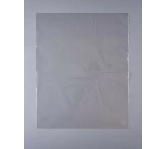 Упаковочный пакет PACK INNOVATION ПП 35x45 см под запайку 25 мкм 100 шт IP00РРZ3545.30-100 1