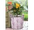 Декоративная корзина-кашпо JOYARTY войлок, с принтами "лаванда стрекоза на розовом фоне", 19 л planta_409624_5 3