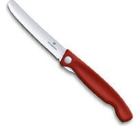 Нож для очистки овощей Victorinox лезвие 11 см, прямое, красный 6.7801.FB