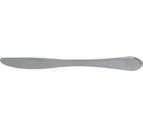 Столовый нож Regent Inox 2 предмета, нержавеющая сталь Linea Firenze 93-CU-FZ-01.2